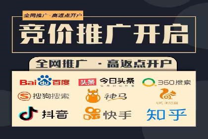 揭秘百度竞价代理：实战案例分析